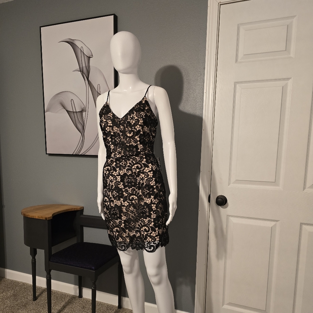 Black lace dress with flesh undertone